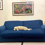 Cesare's * 卡塔尼亚